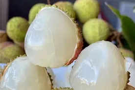 美食 | 屏边荔枝上市啦 最全采摘攻略在这里，快来！图片