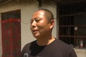 安徽一老人被狗咬死，事后狗上吊自杀？村干部：狗主人自己打死的图片
