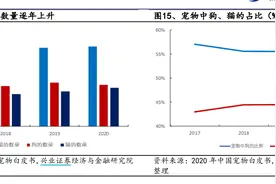 玛氏在华宠爱“猫经济”：加快创新，建亚洲最大宠物食品工厂图片