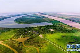 下游的黄河三角洲是我国暖温带最完整的湿地生态系统图片