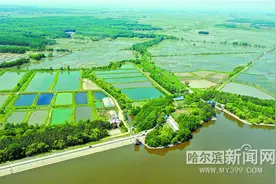 “鱼米乡”奏响美好生活新乐章图片