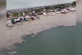 “海鼻涕”粘液覆盖土耳其伊斯坦布尔海岸 致海洋生物窒息死亡图片