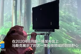 88秒｜猕猴变身游戏高手！“神经连接”黑科技或催生“脑内手机”图片