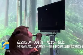 88秒｜猕猴变身游戏高手！“神经连接”黑科技或催生“脑内手机”图片
