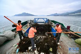 福建宁德：清理海漂垃圾 保护海洋环境图片