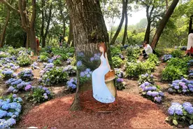 共青森林公园的树干上钻进了“松鼠”，躲藏了“浣熊”……这是怎么回事？图片