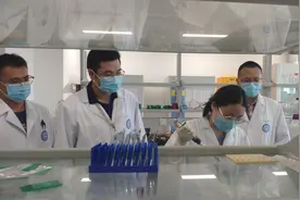 华西医院专家研究发现：脐带或可用于治疗肝损伤图片