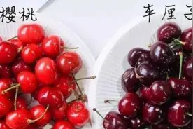 运樱桃能走“绿色通道”车厘子不行，四川交通部门回应视频封面