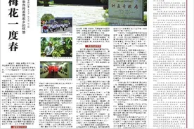 一度梅花一度春图片