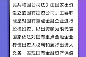 中签500股竟成十大股东！今天，我们来聊聊A股上市公司最常见的十大股东图片