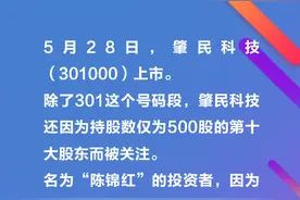 中签500股竟成十大股东！今天，我们来聊聊A股上市公司最常见的十大股东图片