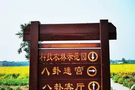 济南近郊的齐河八卦花田你知道吗？来一次就让你忘不了图片