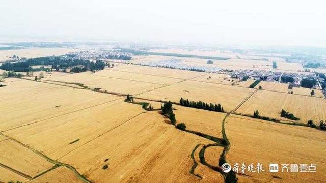 齐鲁早报｜全国疫苗接种破7亿剂次，李兰娟呼吁超60岁老人也打