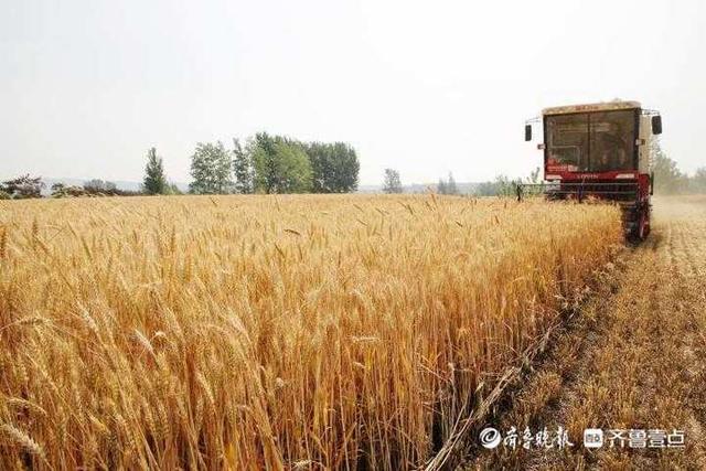 齐鲁早报｜全国疫苗接种破7亿剂次，李兰娟呼吁超60岁老人也打