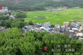 视频｜一根牙签：从龙门走向世界图片