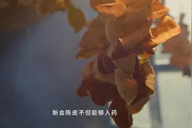 非遗故事大会⑤｜“广东三宝”之首从何而来？非遗少年为你探秘新会陈皮图片