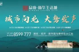 潍坊向北！第四座“生活城”来了图片