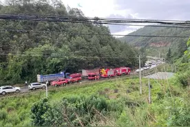 云南野象疑似被定位昆明晋宁区一深山 当地人听到清晰大象叫声图片