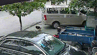 吓出冷汗！海宁一粗心爸爸倒车，将自己儿子压在了轮胎下……图片