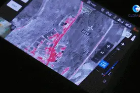 一路“象”北，原因究竟是什么？图片