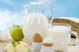 老人常吃6种高蛋白食物 免疫力或更好图片