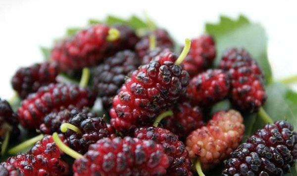 齐鲁早报｜全国疫苗接种破7亿剂次，李兰娟呼吁超60岁老人也打