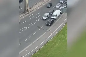 好有爱！英国一群鹅大摇大摆过马路 汽车纷纷停下让路图片