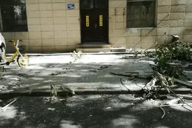 11楼窗户被刮落，连砸5车！谁的责任？图片