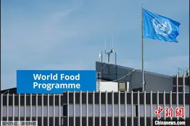 联合国最新报告呼吁各国兑现“恢复十亿公顷土地”承诺图片