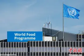 联合国最新报告呼吁各国兑现“恢复十亿公顷土地”承诺图片