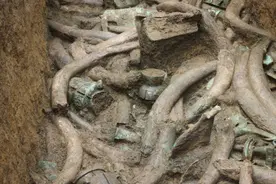 三星堆考古发掘中，土层象牙最用心图片