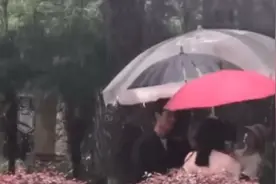 乔欣龚俊吻戏路透曝光！雨中甜蜜拥吻浪漫又养眼图片