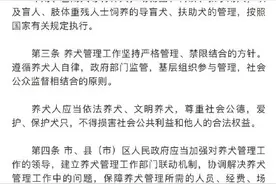 《长春市养犬管理条例》8月1日起施行 文明养犬将有法律“紧箍咒”图片