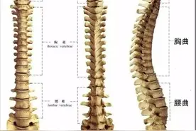 这些伤害宝宝脊椎的行为，你可能每天都在做图片