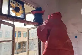 杭州多个住户报警求助，成千上万只蜜蜂飞进厨房！为什么蜜蜂会跑进家里？图片