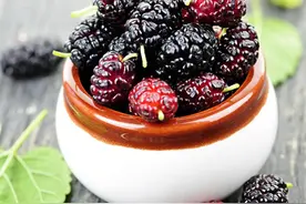 桑葚好吃，并非百无禁忌图片