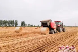 汝南县南余店乡：“三夏”小麦秸秆打捆成效好图片