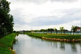 这些家门口的小河入选“上海最美河道”！宝山有4条→图片