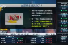 白酒股持续拉升 二线白酒普遍强于一线白酒丨今日异动数据视频封面