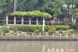 最近，苏州河畔为何总传来诡异“狮吼“？据说还是一种“神功”？图片