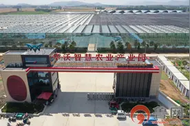 枣庄市峄城区：奏响乡村振兴进行曲图片