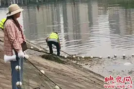 郑州东风渠污水直排鱼类呛死了？别信了，都是前天暴雨所致图片