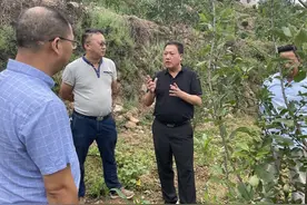陈富华到新店小河等乡镇调研图片