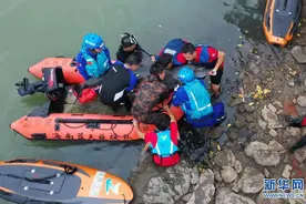 海口：救援海豚图片