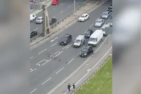 一群鹅大摇大摆过马路 汽车纷纷停下让路图片