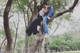 咋回事？网友曝王力宏与老婆李靓蕾已两年没互动图片