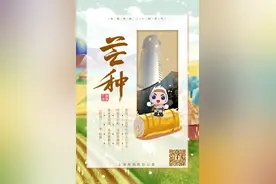 风吹麦浪，蝉鸣盛夏，始于希望，勤于耕耘，获于丰盈，岁月生香图片