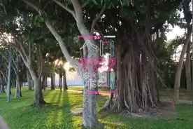 IN视频｜今日深圳：深圳湾，海风偷得半日闲图片
