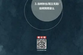 当地球上没有花会怎样？这些歌曲告诉你丨夜问图片