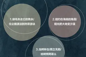 当地球上没有花会怎样？这些歌曲告诉你丨夜问图片